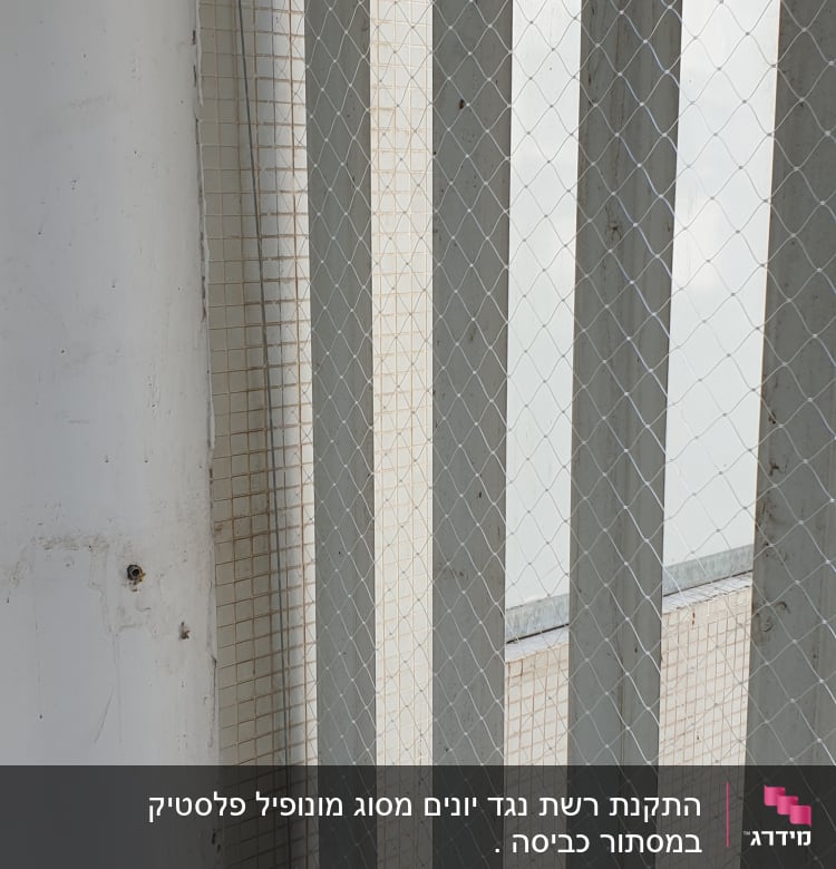 רשת מתכת מותקנת על קיר למניעת כניסת יונים